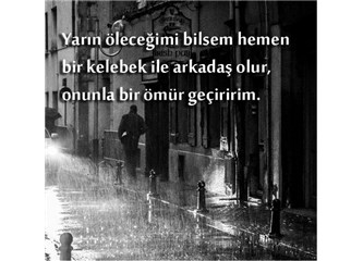 İşte yaşamak böyle bir şey!