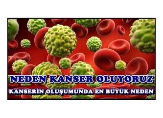 Neden kanser oluyoruz Neden kanser oluyoruz