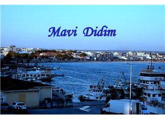 Didim'de referandum sonuçları tahmini...