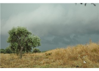 İçimdeki şarkı