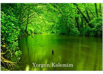 Bakmak Bir Sanattır