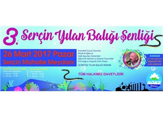 Festival mi katliam mı? (İlgililere açık mektup...)