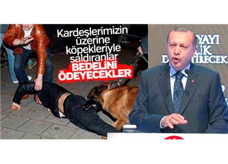 Düşmanca davranan ülkeler ''Hayır'' için bu derece çırpınıyorsa ''Evet'' ülkemizin hayrınadır