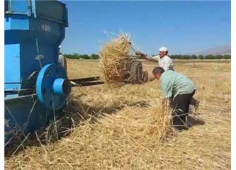 Yörük ve manav