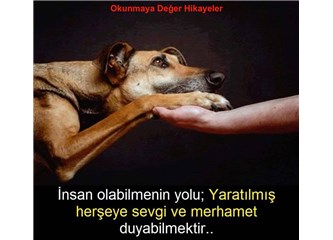 Kadir gecesini bulalım inşallah
