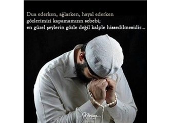 Yani Müslüman hayal kitap diyor Yani Müslüman hayal kitap diyor