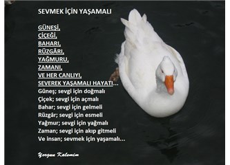 Sevmek için yaşamalı