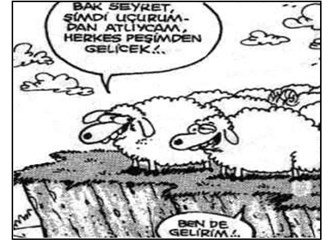 Dikkat edin, sadece koyunlar dedelerinin, atalarının peşinden gider!