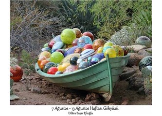 7 Ağustos – 13 Ağustos Haftası Gökyüzü