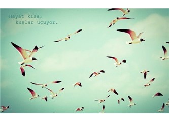 Uzun Aradan Sonra