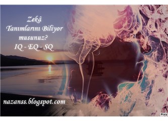 Zekâ Tanımlarını Biliyor musunuz?, IQ - EQ - SQ