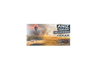 Lütfen Artık Anız Yakmayalım!