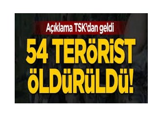 Ülkemize Saldıran Elli Dört Amerikan "Askerini" Öldürdük!