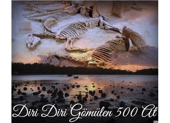 Diri Diri Gömülen 500 At