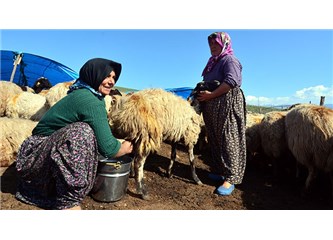 Yörükler Türk Milletinin Asli Cevherleridir