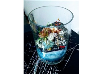 Terrarium Yapımı