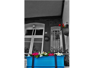 Kül Kedisi, Pamuk Prenses ve Masallar