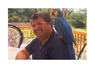 Bir Don Kişot Portresi
