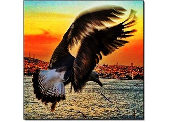 Huzur Zamanı