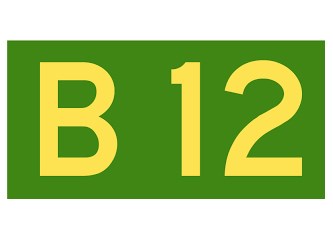 B 12
