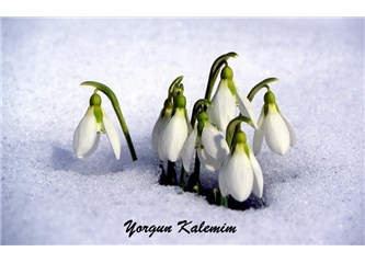 Kararlar Yarınlara Ait