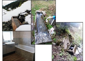Doğanın İçselleştirmesi