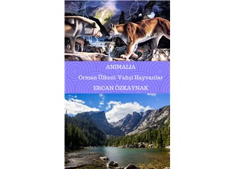 Animalia Orman Ülkesi : Vahşi Hayvanlar Kitabı Bilgi