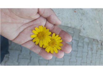 Bekleyişin Dikişleri Tutmuyor