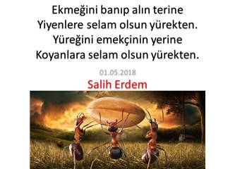 Selam Olsun