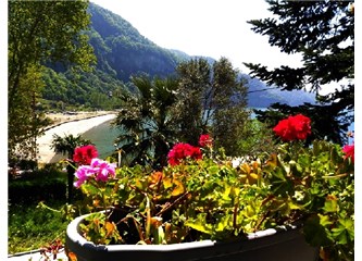 Ektiğimizi Biçtik. Karadeniz'e İlk Turist Kafilesi Geldi.
