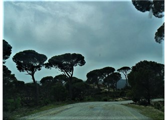 Bırak!