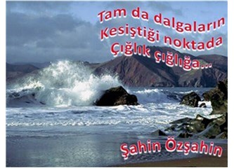 Çeşme’de Koyun Koyuna Yalnızlığım