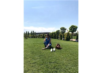 Dünya