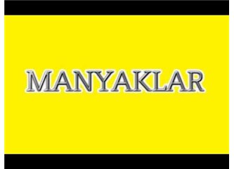 Çapulcu Manyak-14