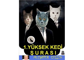 Seçim Zamanı, Kedilere Büyük Gözaltı...