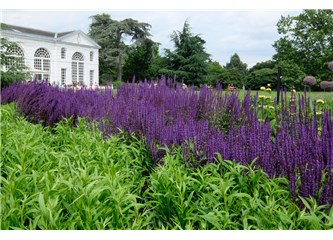 Londra – Londra'da Parklar II - Kew Gardens