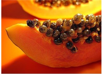 Papaya (1)