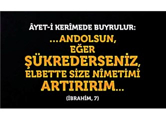 Şükretmek: Çok Güzel Bir Hikaye