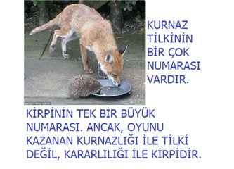 Türkler ve Ruslar İlişkilerinde Kirpi Siyaseti mi Yürütmektedir (1)