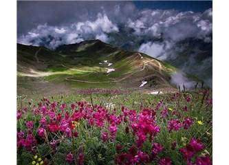 Herkes Kendine Yanar