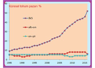 Dünya Tohum Pazarı