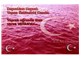 Bayrağım