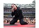 U2