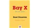 Bay X, BELLEĞİN GİZİ