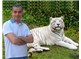 Asabi Kedi