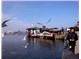 Zonguldak-2013