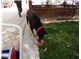 Havran’da Engelli köpek tüm acılara rağmen hayata tutunuyor