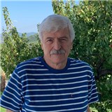 AHMED F YÜKSEL