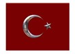 Esir olmayan sancak