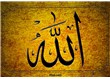 Allah(C.C.) Rızası için sevmek